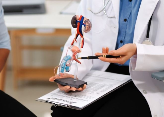 Doctor in a white coat explains a life-size anatomical organ model to a patient, with a clipboard nearby.