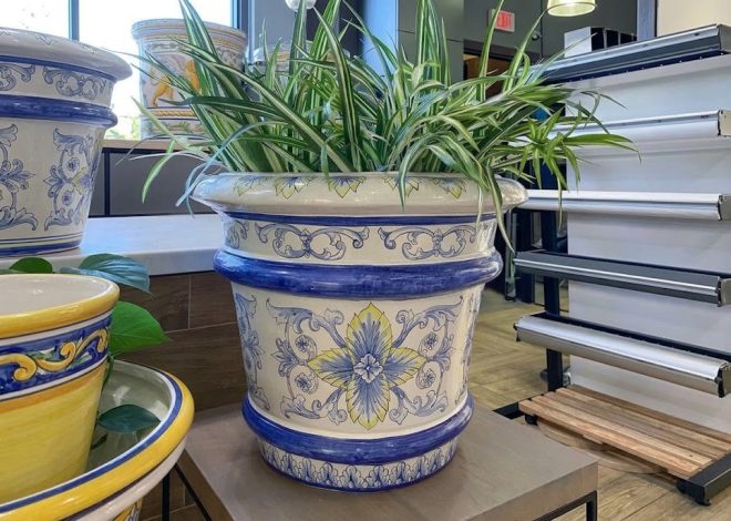 Decorative blue-and-white ceramic planter with a green spiky plant on a table, in a showroom.