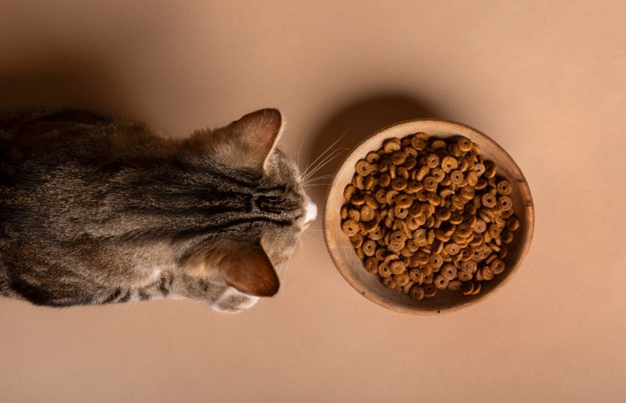 Top-down view of a cat leaning toward a bowl of dry cat food on a beige surface.