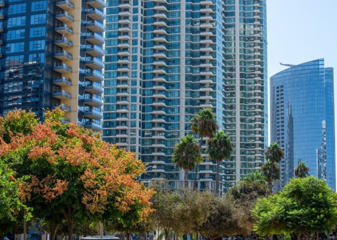Tall glass high-rise buildings behind a row of palm trees and a colorful flowering tree in a city park area.