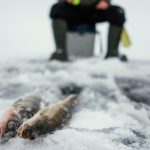 Снаряжение для зимней рыбалки: полный чек-лист, чтобы ничего не забыть