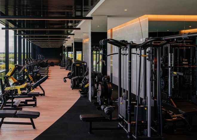 Bright modern gym with weight machines on the right and cardio machines along a glass wall overlooking trees outside.