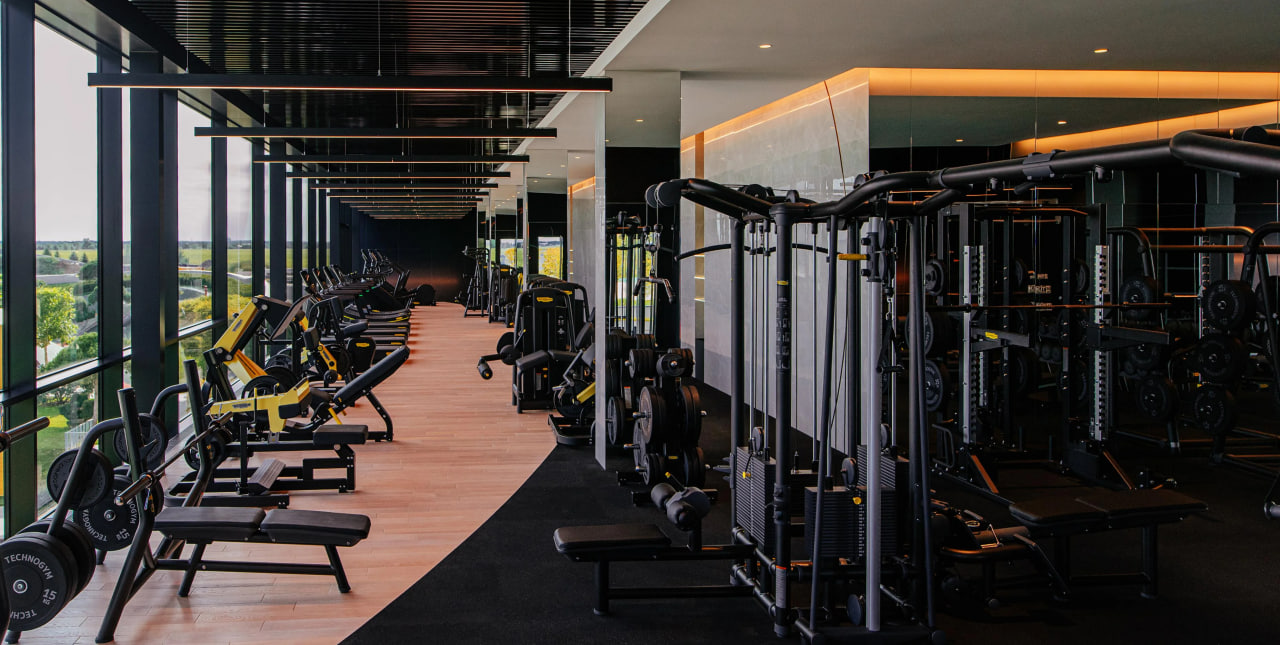 Bright modern gym with weight machines on the right and cardio machines along a glass wall overlooking trees outside.