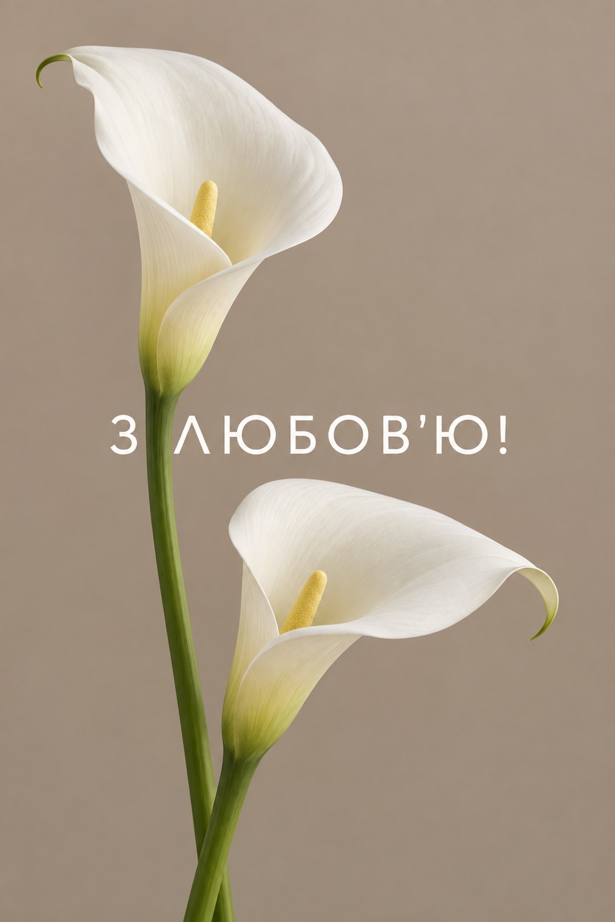 елегантна листівка з днем народження жінці